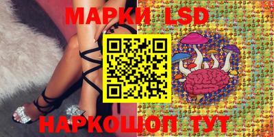мдпв Сланцы