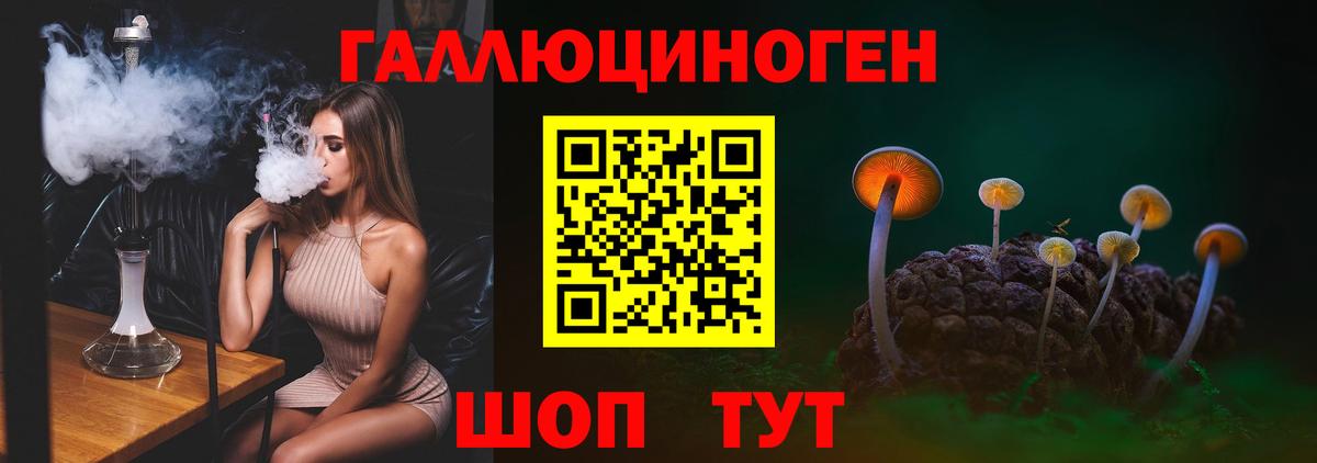 Псилоцибиновые грибы мицелий  купить   Архангельск  Вход с VPN  Галлюциногенные грибы Psilocybe 